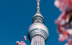 CARD-release-tokyo.png